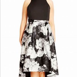 City Chic Victoria printed fit and flare dress
